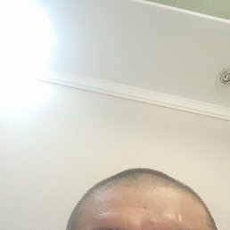 ������, ������, 41 ���