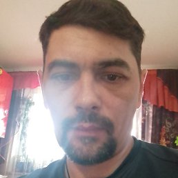 �����, ������, 43 ����