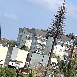 �������, ���������, 70 ���