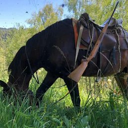  , -, 47  -  28  2023