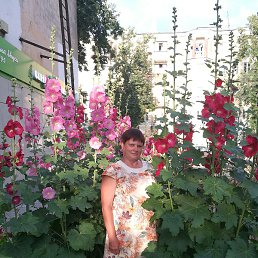 ����, ������ ��������, 56 ���