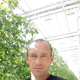 ���� �������, ������, 39 ��� - ��������� 17 �������� 2023