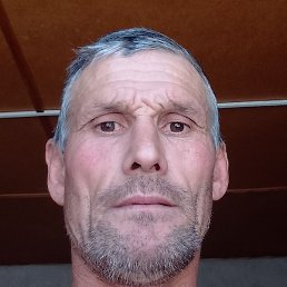 ����, ������, 48 ���