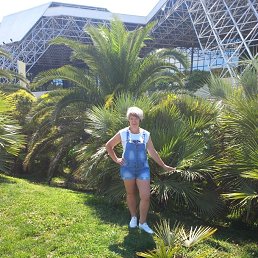 ���� �������, ���������, 53 ���� - ��������� 21 �������� 2023