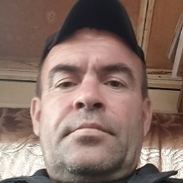 , , 51 