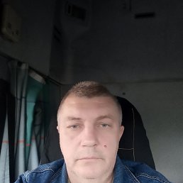 ���� ��������, �����, 56 ��� - ��������� 2 ������� 2023