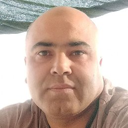 ������, �������, 37 ���