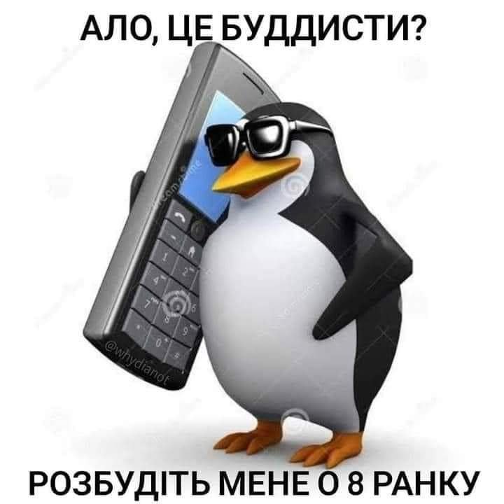  - 16  2023  00:53