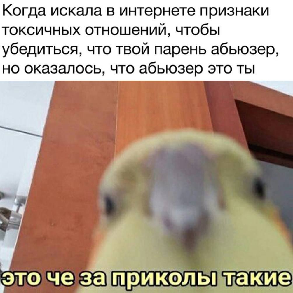    - 19  2023  13:40