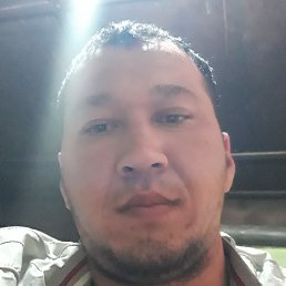 �����, �������, 33 ����