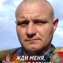 ������, �����������, 44 ����