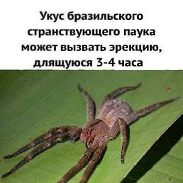 ���� �������, ���������, 51 ��� - ��������� 19 �������� 2023