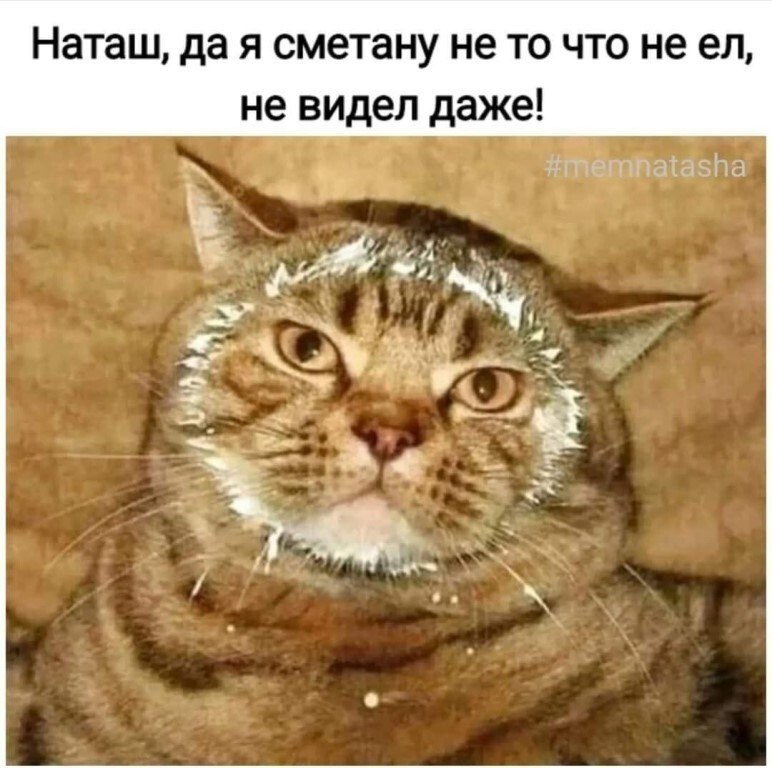   - 3  2023  18:33