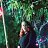 ���� Divya Sharma, ��������, 37 ��� - ��������� 5 ������� 2023