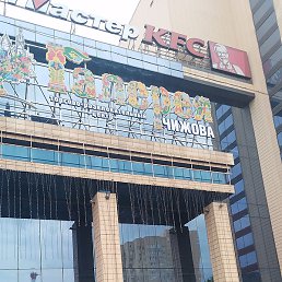 ����, ������-��-����, 41 ���