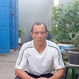 �������, ������, 50 ���