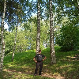 ���� ˸��, ������, 43 ���� - ��������� 12 ������� 2023