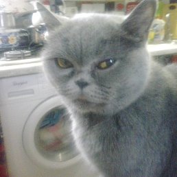 Witalij, ������, 56 ���