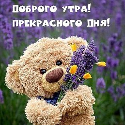 ���������, ������, 45 ���