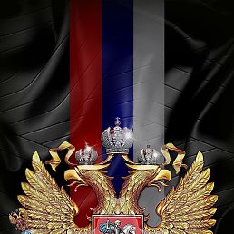 ���������, �����, 40 ���