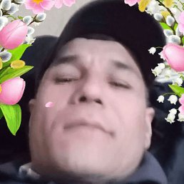 �����, ������, 43 ����