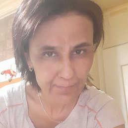 ����, ������, 49 ���