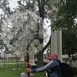 ���������, ������, 43 ����