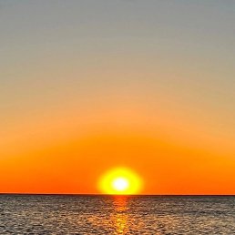 ����, ���������, 40 ���