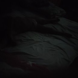 Pari Yunusova, �������, 20 ���