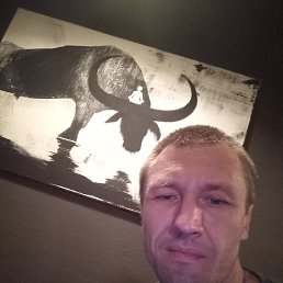 ���� �������, ������ �����, 49 ��� - ��������� 4 �������� 2023