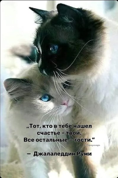   - 6  2023  20:40