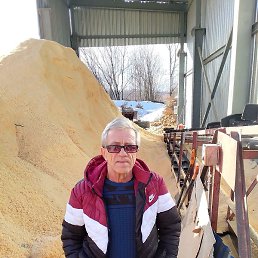 ��������, ������, 65 ���