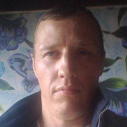 ������� ���������, ������, 43 ����