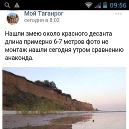 Boy, ��������, 48 ���