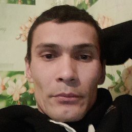 �����, ������, 37 ���