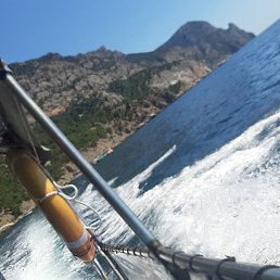 ������, ������, 37 ���