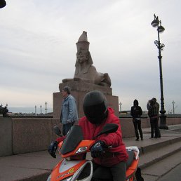 ������, �����-���������, 36 ���