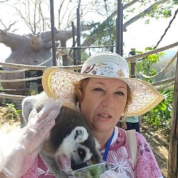 ��������, ������, 58 ���