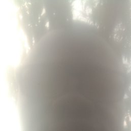 ���� Janvion, �����, 40 ��� - ��������� 8 ������� 2023