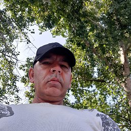 ����, ������, 54 ����