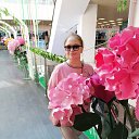 ���� �������, ������, 56 ��� - ��������� 14 ����� 2023 � ������ ���� ����������