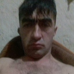 ����, ������, 41 ���