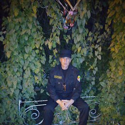 ����, �����������, 49 ���