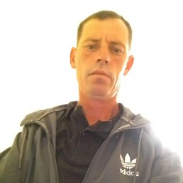 ���� �����, ������, 41 ��� - ��������� 17 �������� 2023