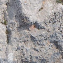 �������, ����, 60 ���