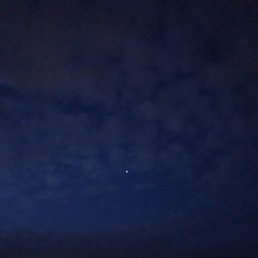 ������, ������, 21 ���