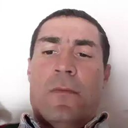 ���������, ������, 41 ���