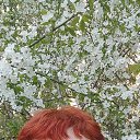 ���� �������, �����-��������� - ��������� 17 ��� 2023 � ������ ������ ��������