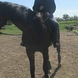 ���������, ��������������, 37 ���