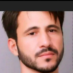 ����, �����-���������, 38 ���